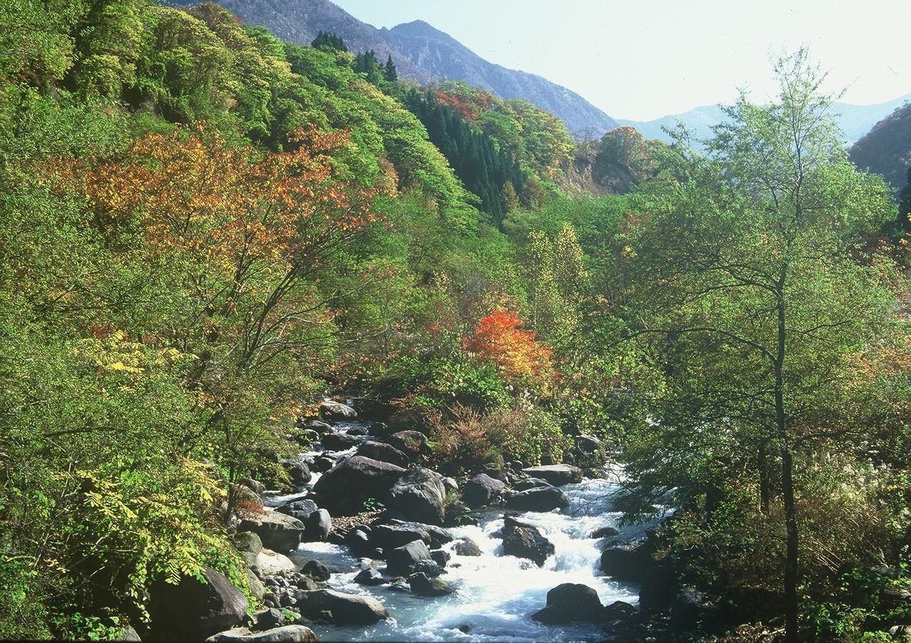 Hotel Katsuragi No Sato Takayama  Zewnętrze zdjęcie